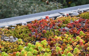 the cost of Port Brae green roof installation