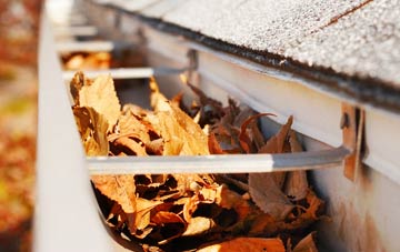 Port Brae gutter cleaning companies