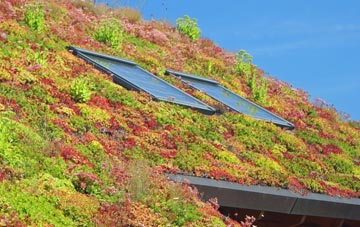 Port Brae living roof systems