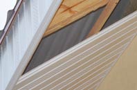 rated Port Brae soffit repair companies
